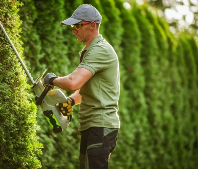 38e84b06278d7b59405e0d4c6a4de1820d66f593